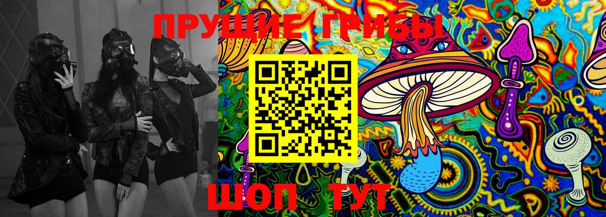 Галлюциногенные грибы GOLDEN TEACHER  Псилоцибиновые грибы Cubensis  Балашиха  Вход с VPN 